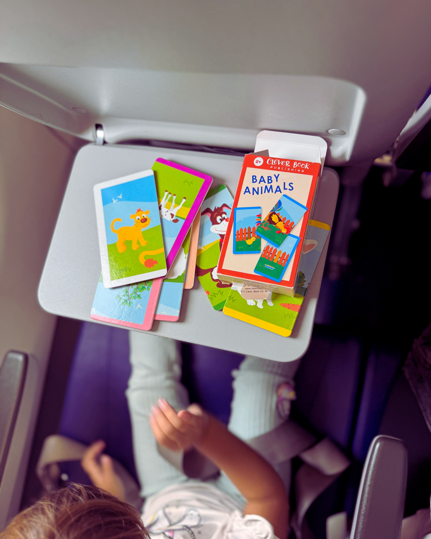 Baby Animals Puzzle Cards (Ages 1–3)