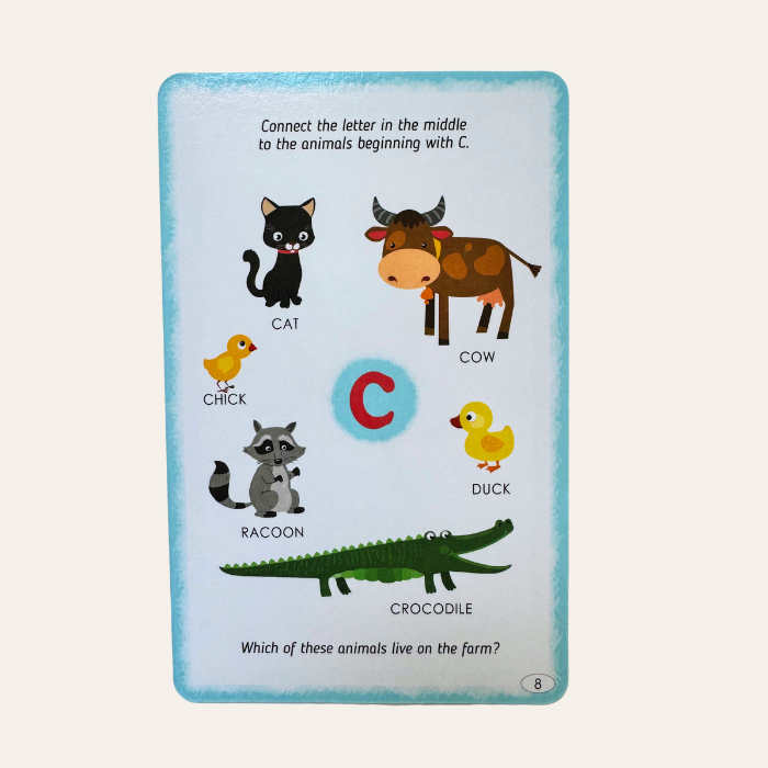 Play and Learn Bundle for Early Childhood Education Clever Book